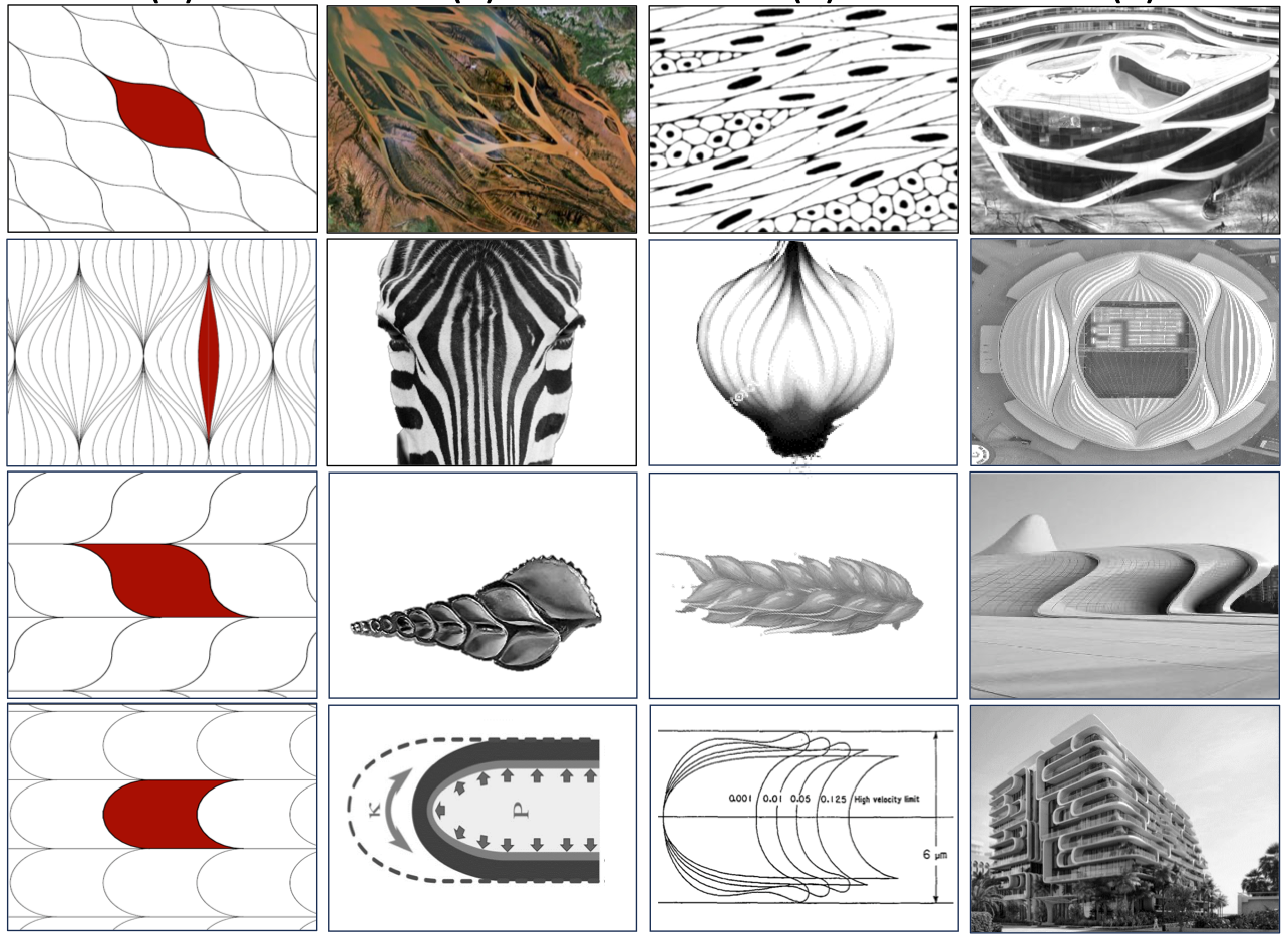 Tessellation revelation