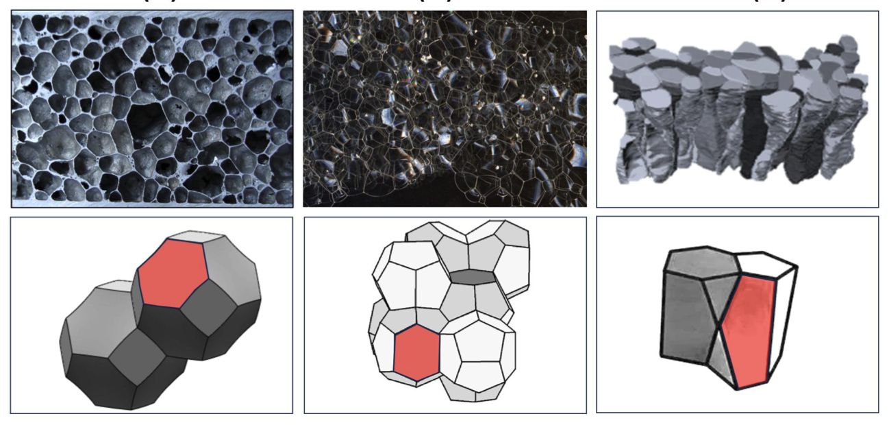 Tessellation revelation