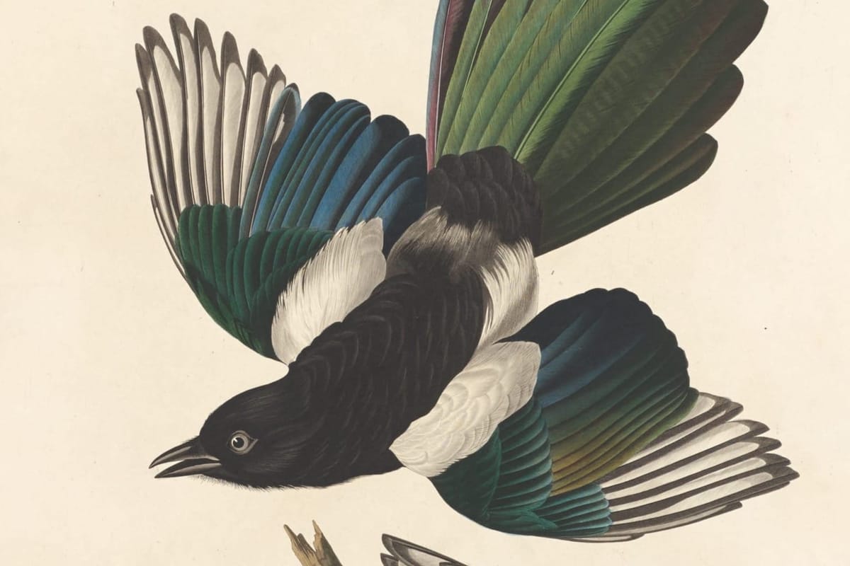 Paper Roundup July 2025: 3I/ATLAS "fanfiction," arsenic life retraction, and K2-18b