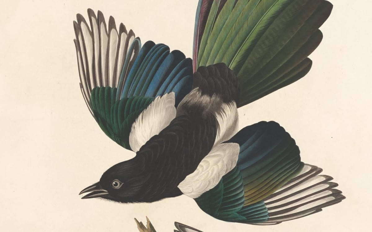 Paper Roundup 13.1.2026