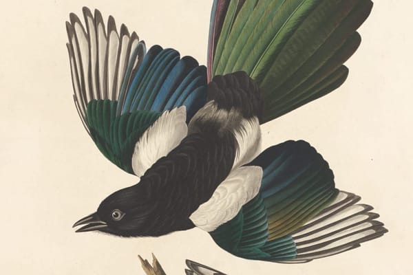 Paper Roundup July 2025: 3I/ATLAS "fanfiction," arsenic life retraction, and K2-18b