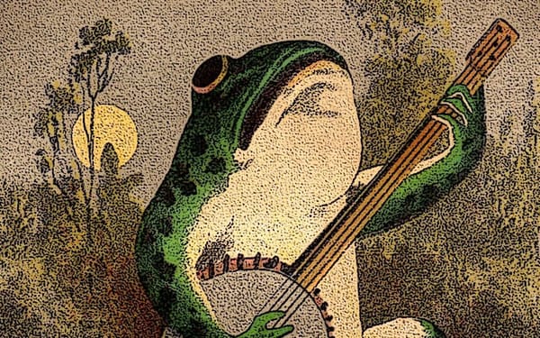 You and a frog might have the same taste in music